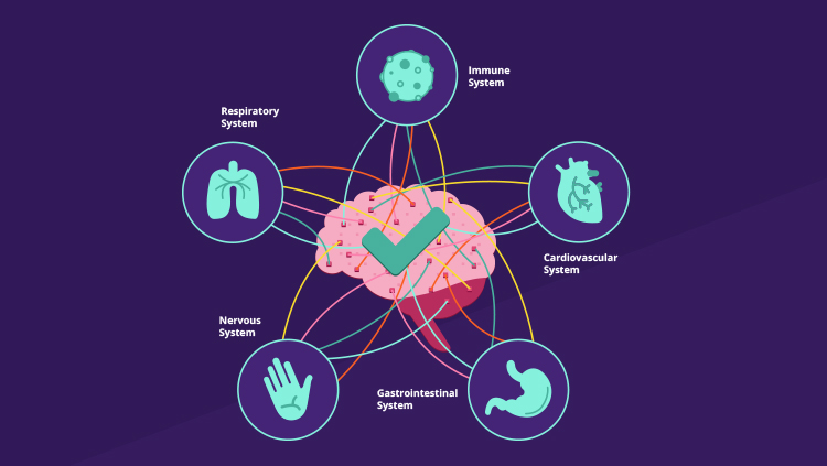 Your Complex Brain