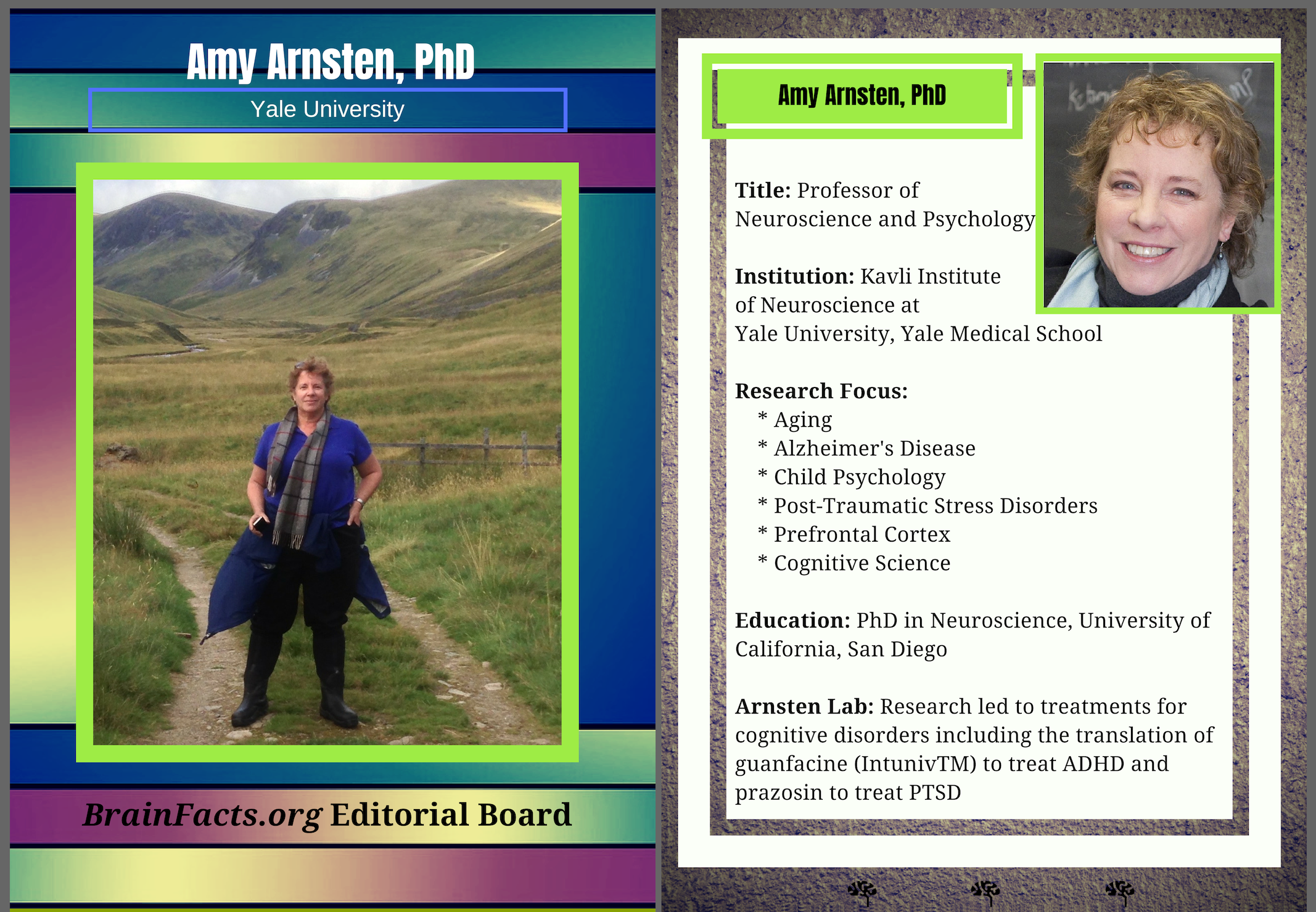 Image and bio for Amy Arnsten, PhD