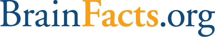 BrainFacts.org
