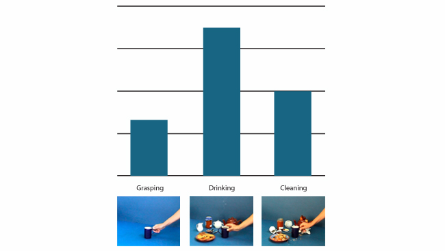 Grasping a cup, drinking from a cup, and cleaning around a cup exhibit different levels of mirror neuron activity