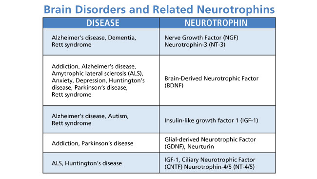 Changes in levels of growth-promoting proteins called neurotrophins are associated with many brain diseases and psychiatric disorders. Scientists continue to explore the possibility that treatments that normalize neurotrophin levels can halt or reverse the symptoms of some of the disorders listed above.