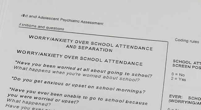 A written child and adolescent psychiatric assessment.