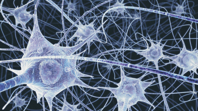 Illustration of a network of nerve cells in the brain. 