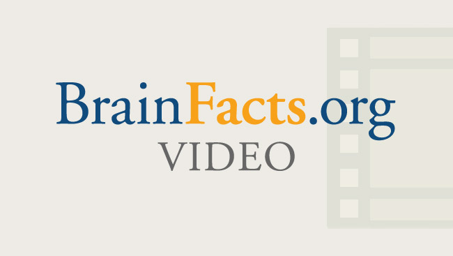 BrainFacts.org Video