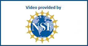 Logo of NSF.