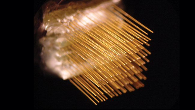 An example of a microwire array 
