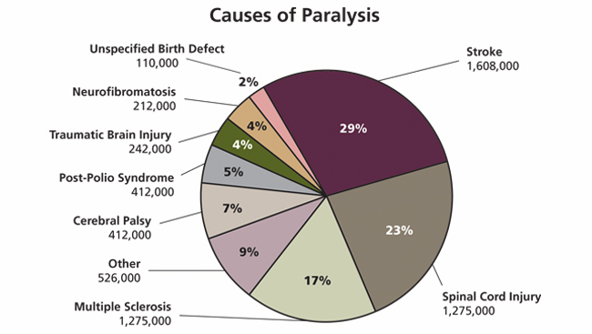 A pie chart showing common causes of paralysis.