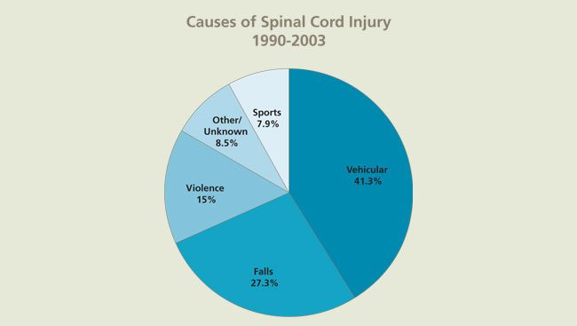 Spinal Cord Injury Chart