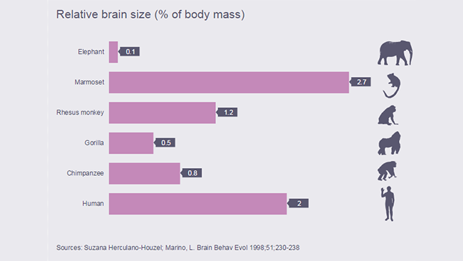 Relative Size Chart