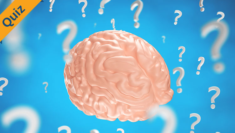 Brain on blue background surrounded by question marks