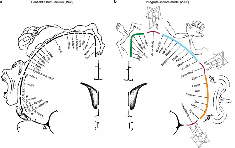 Integrate isolae model
