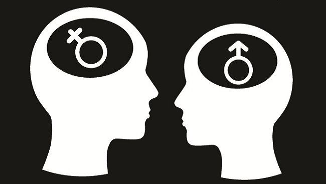 Sex Differences in the Brain 