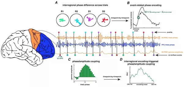Brain & electrical illustration