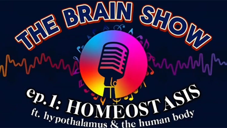 The Brain Show
