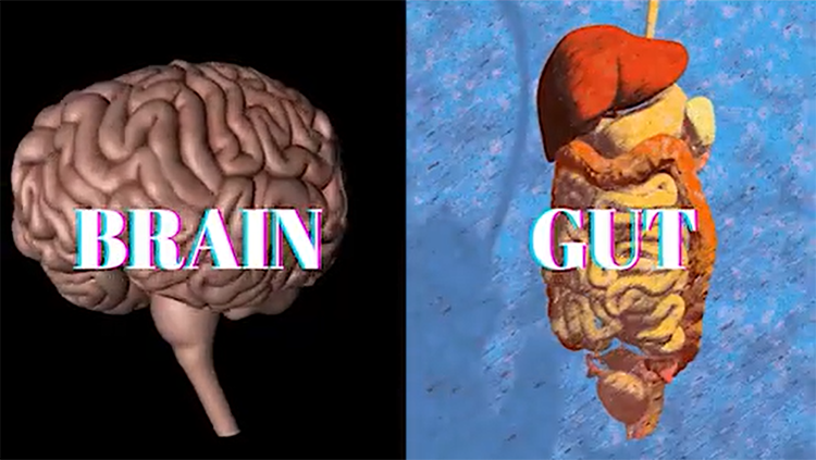 Brain and gut thumbnail