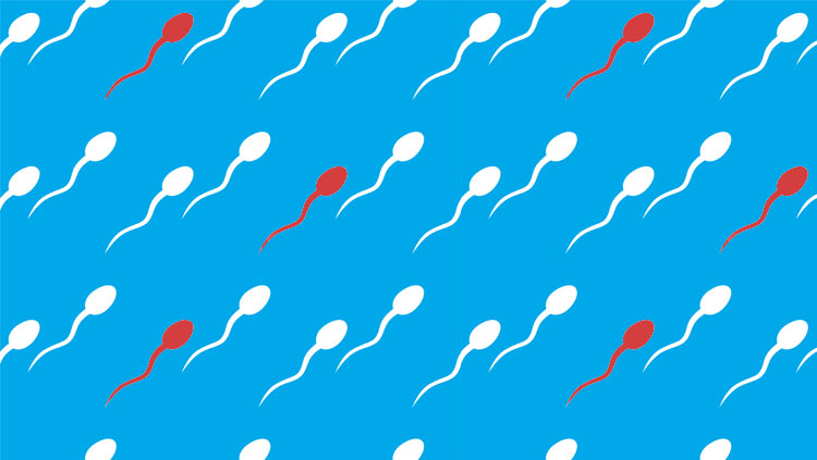 Red and white sperm on blue background