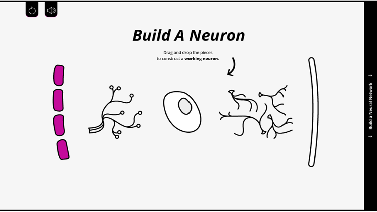Illustration of a neuron deconstructed, ready to be built