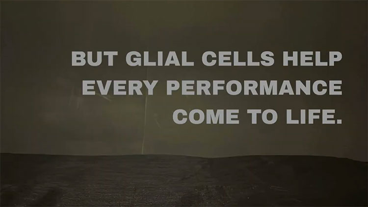 Glial Cells BAVC thumbnail image