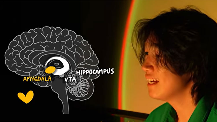 Man looking at labeled brain
