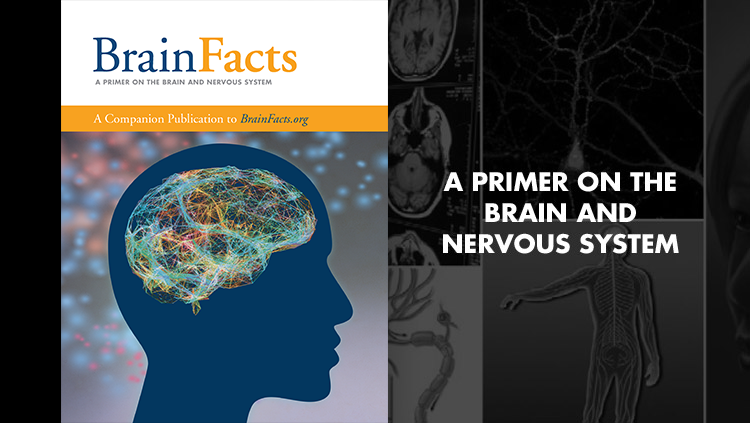Image of the Brain Facts book