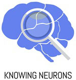 Knowing Neurons logo