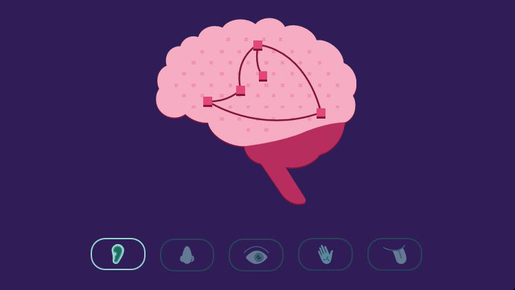A cartoon brain with small icons below of an ear, nose, eye, hand, and tongue 