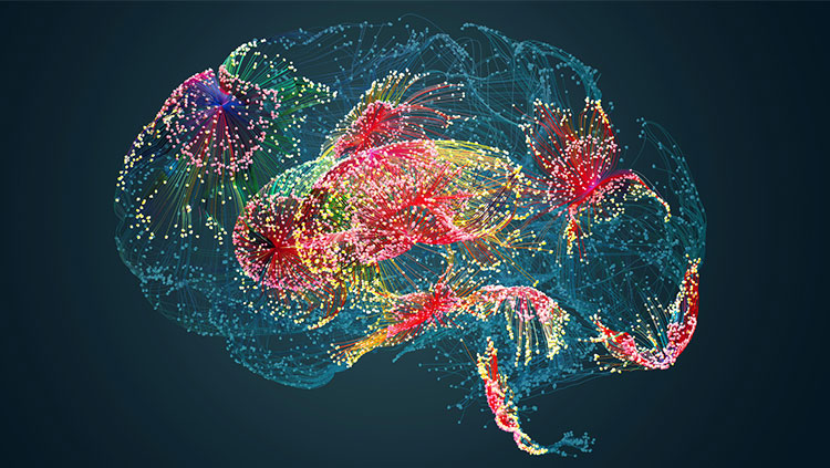 Colorful brain