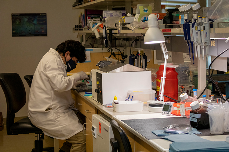 Student sitting in lab