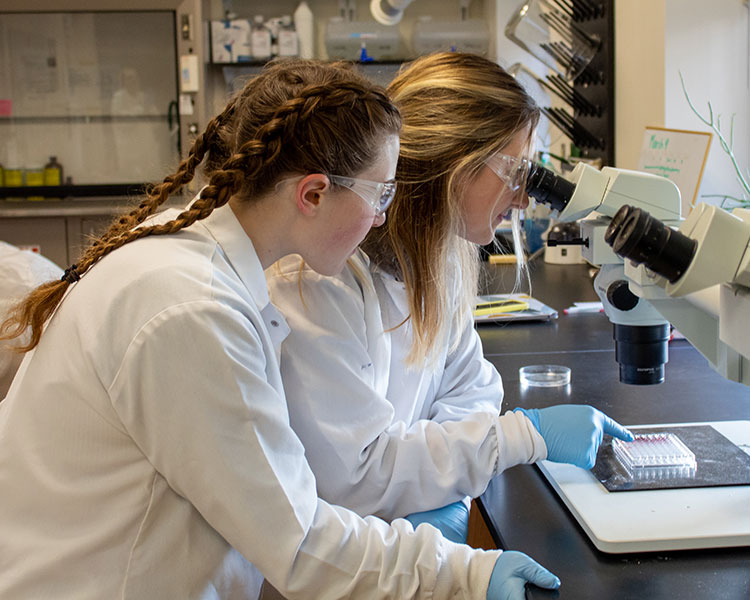 Two students in a lab