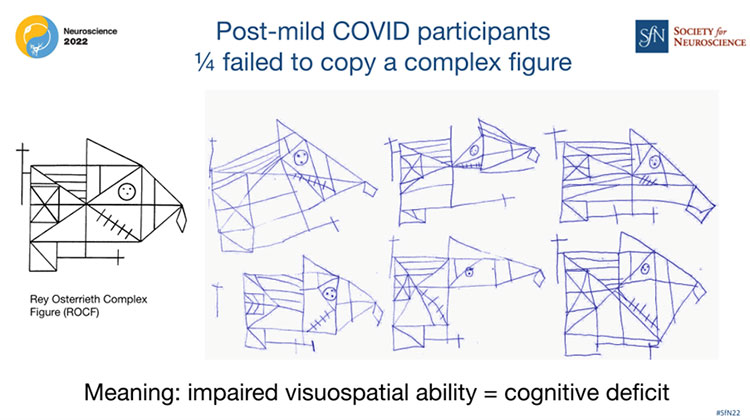 Graphic of Post-mild COVID participants figure