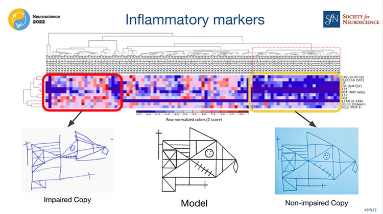 Graphic of inflammatory markers