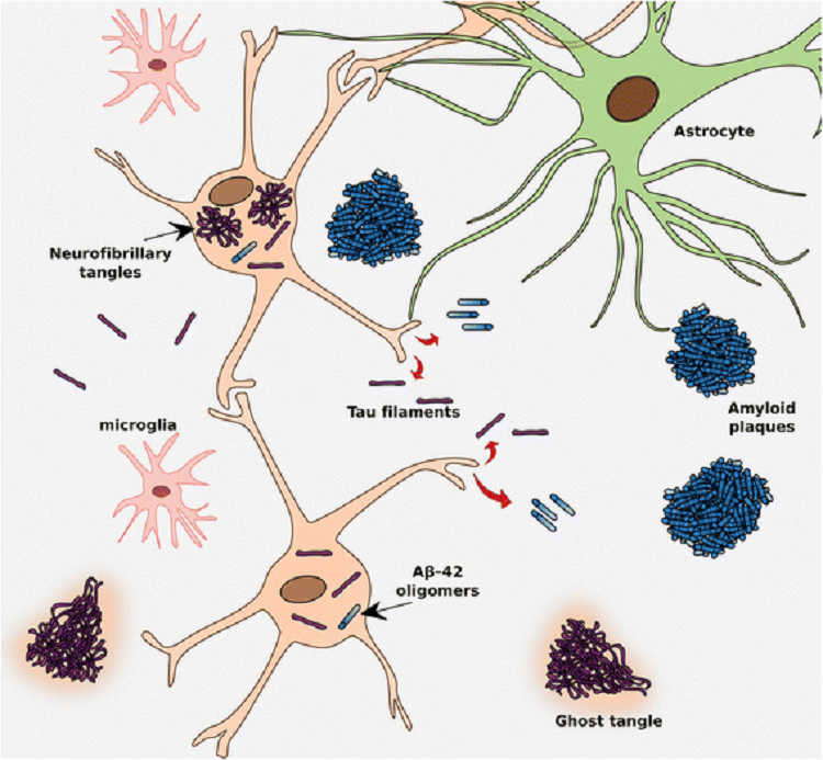 tau filaments illustration 