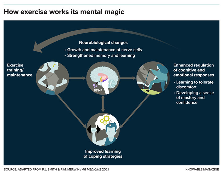 Exercise mental magic graphic