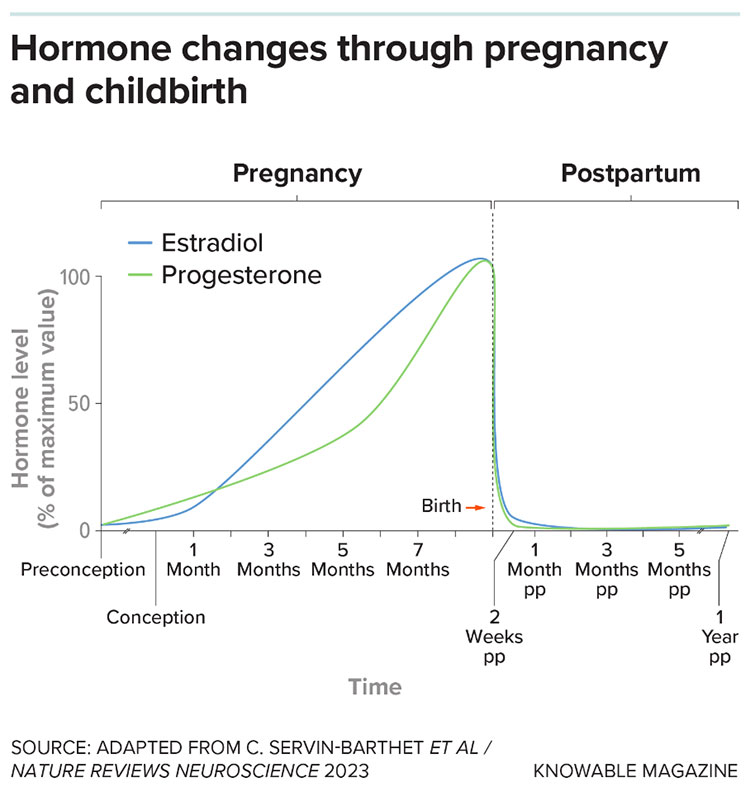 Hormone changes chart