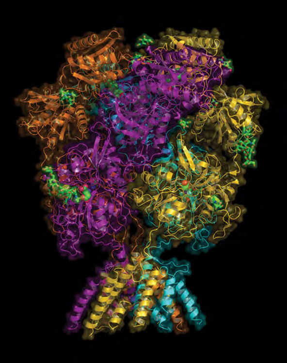 Illustration of an NMDA receptor