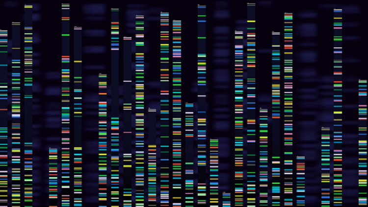 color dna image