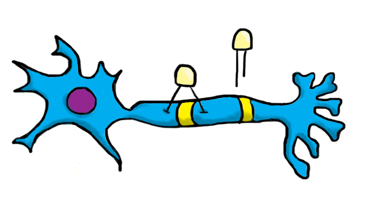 Image of a neuron with LEDS