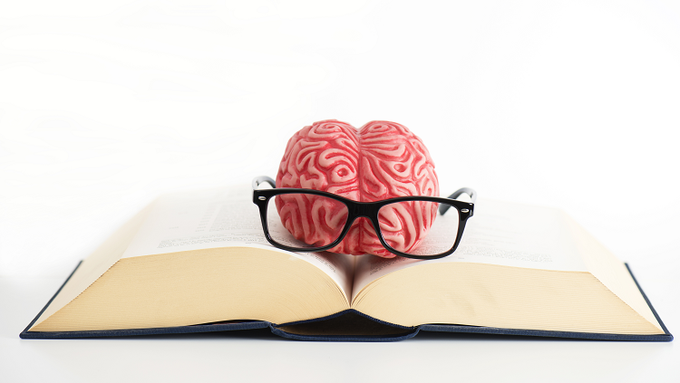 Funny photograph of a toy brain with toy glasses resting on an open book