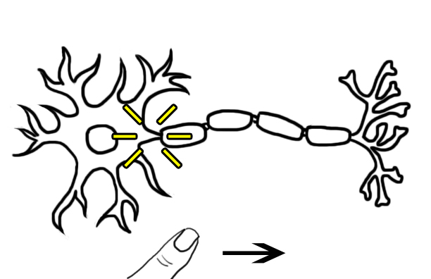 Light-Up Neuron Step 6