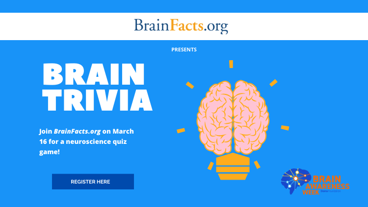Brain Trivia flyer