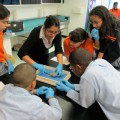 Students Dissecting a Brain