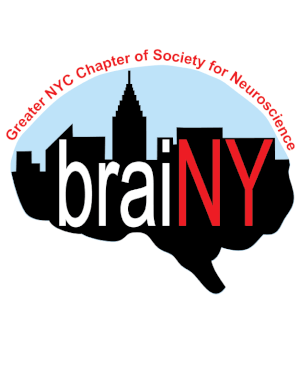brainNY logo