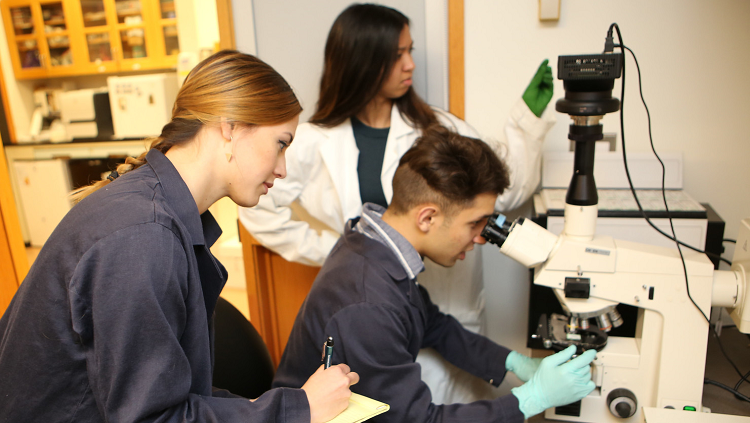 Students working in a neuroscience laboratory
