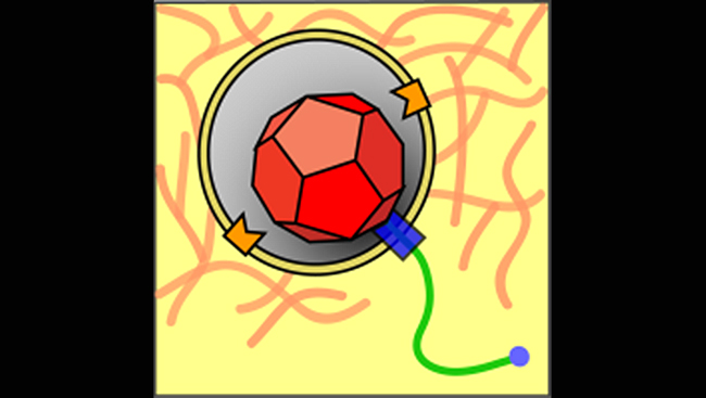 Illustruation of the polio virus, in a polyhedral shape