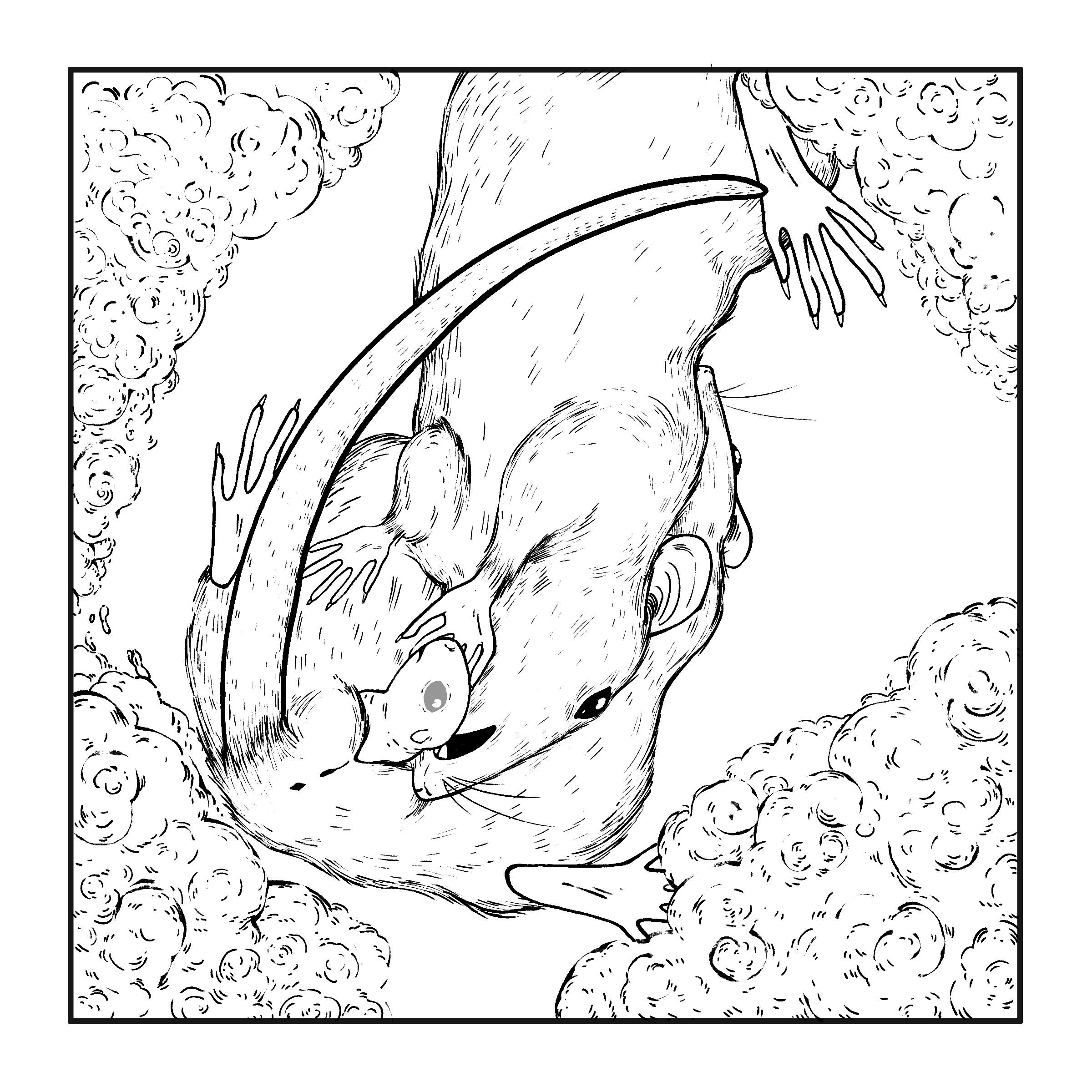 A female mouse uses her mouth and paws to aid a pup through the birth canal of another female.