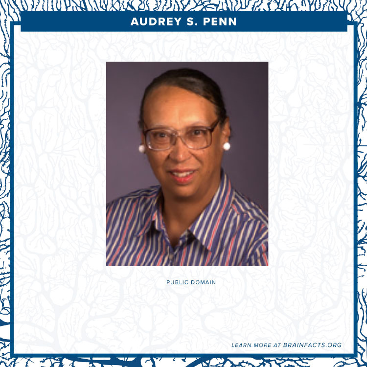 Audrey S. Penn brain byte