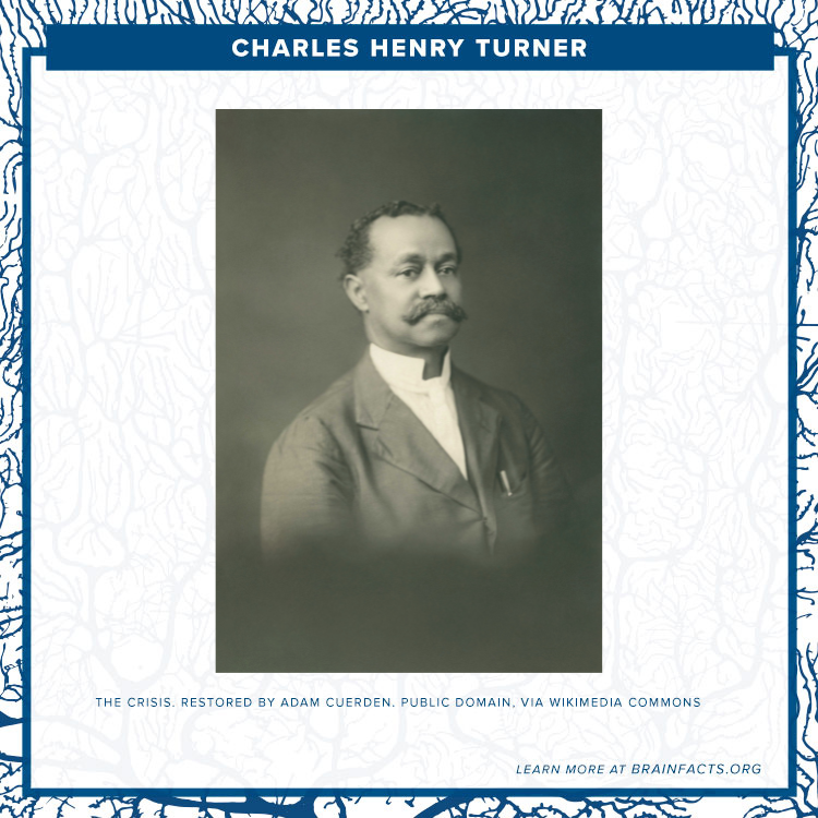 Charles Henry Turner Brain Byte