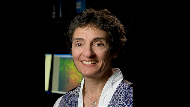 Carla Shatz, PhD, is a professor of biology and neurobiology at Stanford University, as well as the director of Bio-X.
