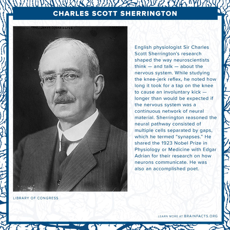 Charles Scott Sherrington Brain Byte