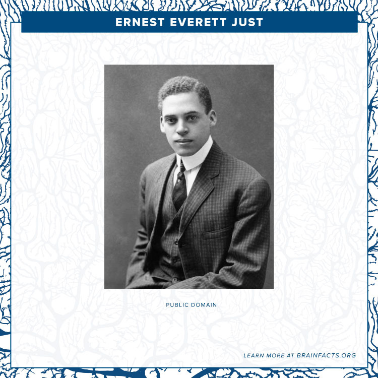 Ernest Everett Just brain byte